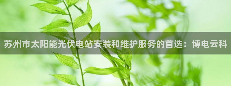 sunbet申搏app下载