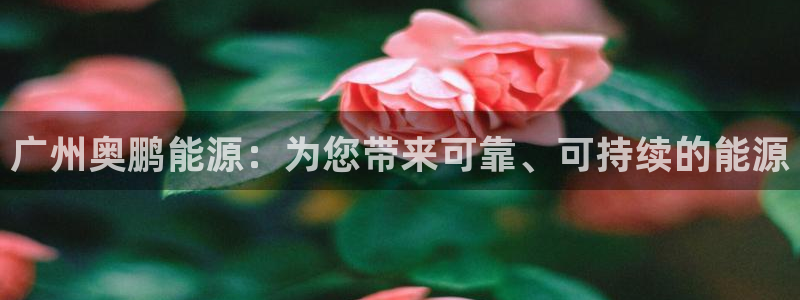 申博app下载