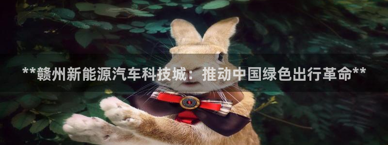 sunbet燃气灶
