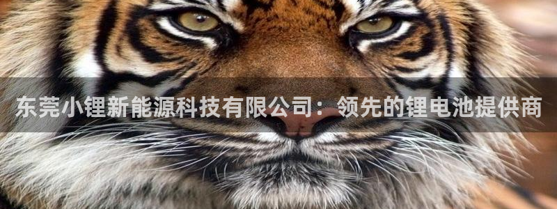 sunbet官网app首页