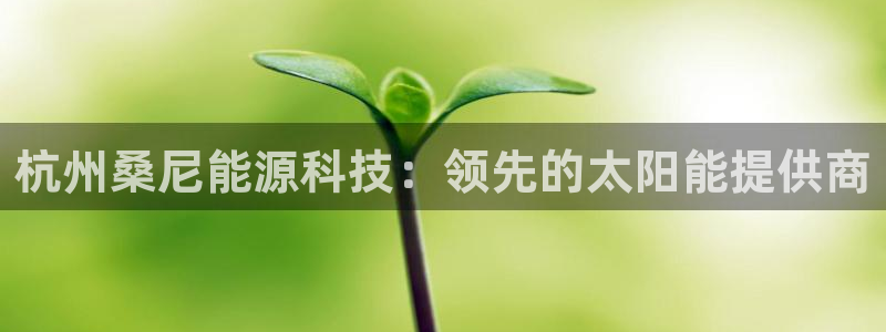 sunbet游戏地址