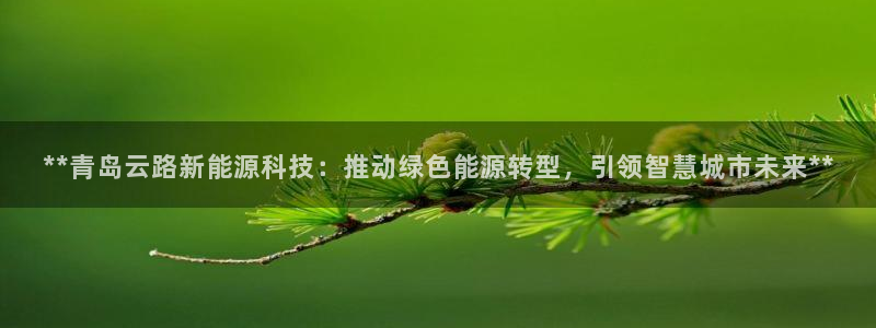 sunbet申搏平台