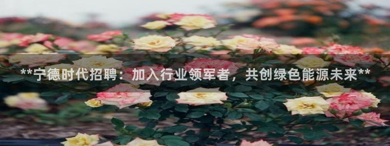 sunbet苹果app