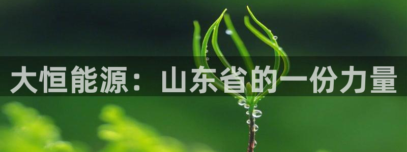sunbet燃气灶