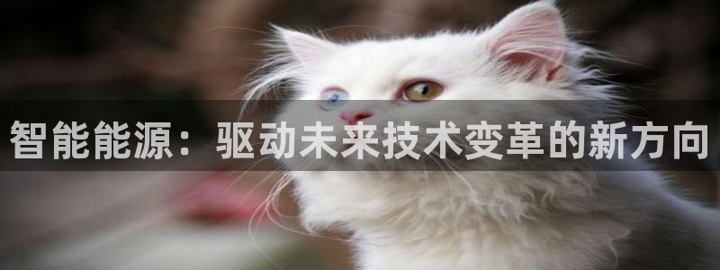 sunbet官网手机版登录