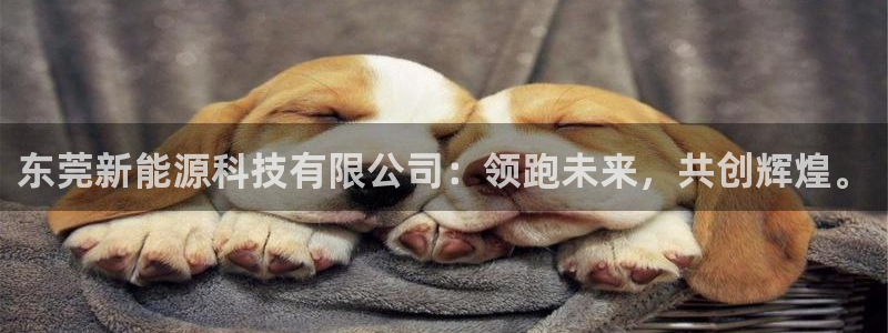 sunbet官网开户登录手机版