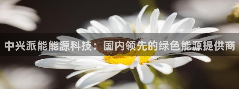 下载申搏sunbet并安装app