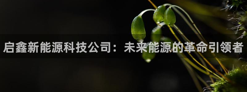 下载申搏sunbet并安装app