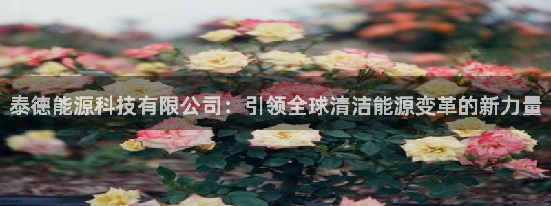 sunbet苹果官网下载