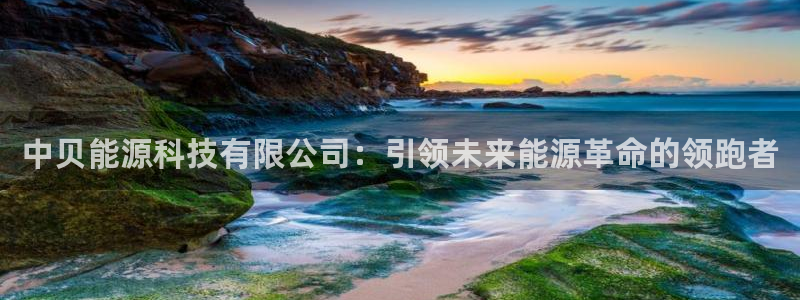 申博官网手机客户端
