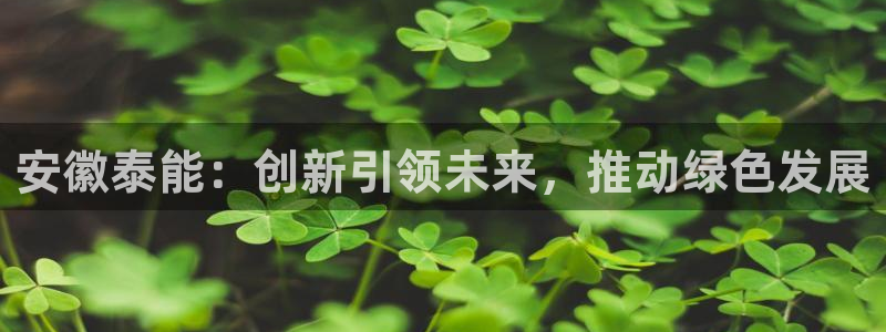 sunbet申搏平台