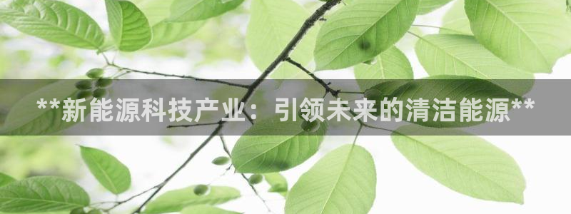 申博官网手机版下载app