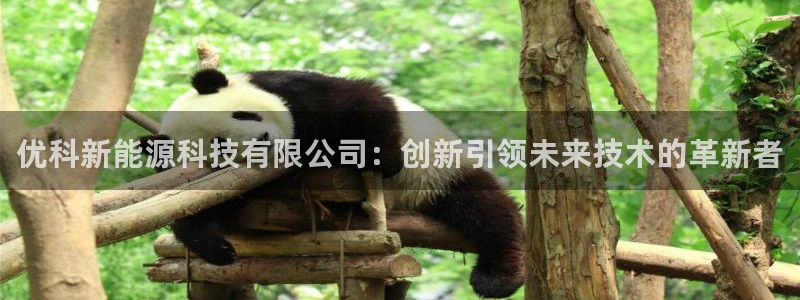 sunbet线上真人手机版