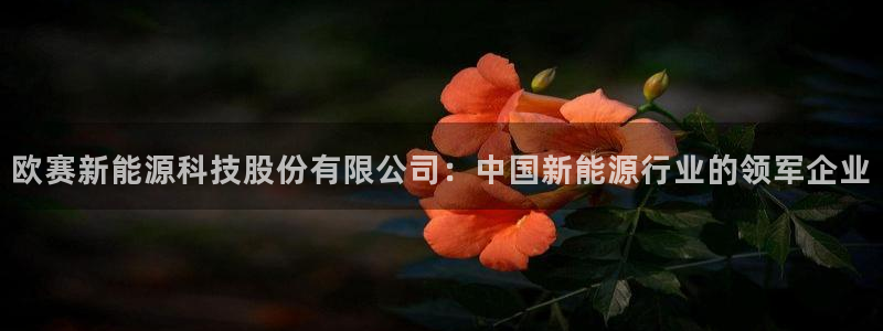 sunbet申搏官方网站