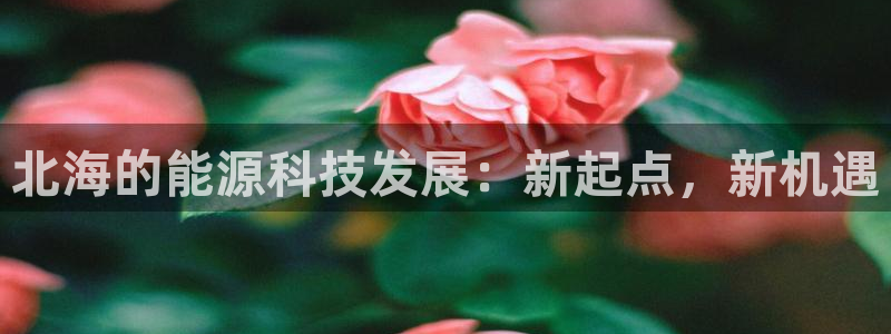 sunbet申搏app下载